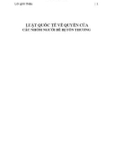 Hệ thống Luật quốc tế về quyền của các nhóm người dễ bị tổn thương: Phần 1