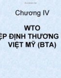 Chương IV: WTO HIỆP ĐỊNH THƯƠNG MẠI VIỆT MỸ (BTA)