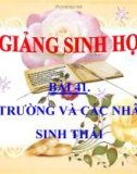 Bài giảng Sinh học 9 bài 41: Môi trường và các nhân tố sinh thái