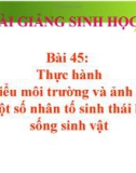 Bài giảng Sinh học 9 bài 45: Thực hành tìm hiểu môi trường và ảnh hưởng của một số nhân tố sinh thái lên đời sống sinh vật