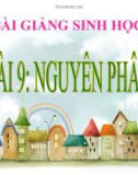 Bài giảng Sinh học 9 bài 9: Nguyên phân