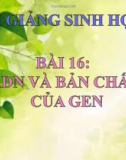 Bài giảng Sinh học 9 bài 16: ADN và bản chất của gen