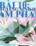 Bài giảng Sinh học 9 bài 10: Giảm phân