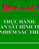 Bài giảng Sinh học 9 bài 14: Thực hành Quan sát hình thái nhiễm sắc thể