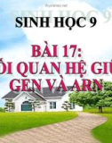 Bài giảng Sinh học 9 bài 17: Mối quan hệ giữa gen và ARN