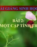 Bài giảng Sinh học 9 bài 2: Lai một cặp tính trạng