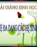 Bài giảng Sinh học 9 bài 60: Bảo vệ đa dạng các hệ sinh thái