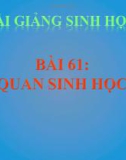 Bài giảng Sinh học 8 bài 61: Cơ quan sinh dục nữ