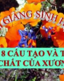 Bài giảng Sinh học 8 bài 8: Cấu tạo và tính chất của xương