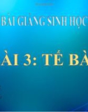 Bài giảng Sinh học 8 bài 3: Tế bào