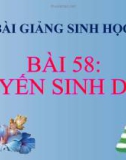 Bài giảng Sinh học 8 bài 58: Tuyến sinh dục