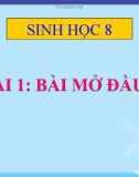 Bài giảng Sinh học 8 bài 1: Bài mở đầu