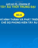 Bài giảng Lịch sử 10 bài 10: Thời kỳ hình thành và phát triển của chế độ phong kiến ở Tây Âu (Từ thế kỷ V đến thế kỷ XIV)