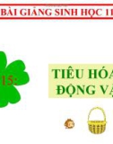 Bài giảng Sinh học 11 bài 15: Tiêu hóa ở động vật