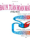 Bài giảng Sinh học 11 bài 19: Tuần hoàn máu (tiếp theo)