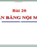 Bài giảng Sinh học 11 bài 20: Cân bằng nội môi