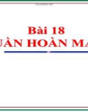 Bài giảng Sinh học 11 bài 18: Tuần hoàn máu