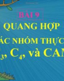 Bài giảng Sinh học 11 bài 9: Quang hợp ở các nhóm thực vật C3, C4 và CAM