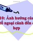 Bài giảng Sinh học 11 bài 10: Ảnh hưởng của các nhân tố ngoại cảnh đến quang hợp