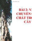 Bài giảng Sinh học 11 bài 2: Vận chuyển các chất trong cây