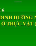 Bài giảng Sinh học 11 bài 6: Dinh dưỡng nitơ ở thực vật (tiếp theo)