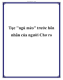 Tục ngủ mèo trước hôn nhân của người Chơ ro