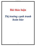 Bài thảo luận thị trường cạnh tranh hoàn hảo