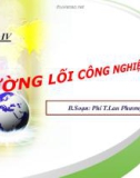 Bài giảng Đường lối cách mạng: Chương 4 - ĐH Kinh tế Quốc dân