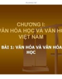 Bài giảng Văn hóa học và văn hóa Việt Nam: Bài 1 - Văn hóa và văn hóa học