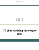 Bài 1: Tổ chức và thông tin trong tổ chức