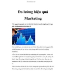 Đo lường hiệu quả Marketing