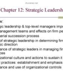 Lecture Organizational strategies for the 21st century - Chapter 12