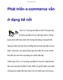 Phát triển e-commerce vẫn ở dạng bề nổi