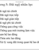 Bài giảng Quản trị nguồn ngân lực (Nâng cao): Chương 5 - PGS. TS. Dương Cao Thái Nguyên