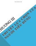 Chương 3: Thuyết lựa chọn của người tiê dùng