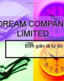 DREAM COMPANY LIMITED