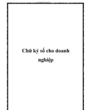 Chữ ký số cho doanh nghiệp