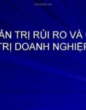 Quản trị rủi ro và giá trị doanh nghiệp