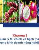 Bài giảng Quản trị kinh doanh nông nghiệp: Chương 5 - ThS. Nguyễn Hà Hưng