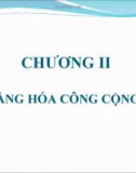 CHƯƠNG II HÀNG HÓA CÔNG CỘNG