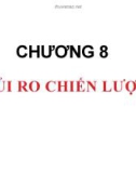 Bài giảng chương 8: Rủi ro chiến lược