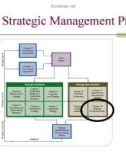 Lecture Organizational strategies for the 21st century - Chapter 13