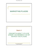 MARKETING PLACES- CONCEPTS ABOUT A PLACE UNDER THE PERSPECTIVE OF MARKETING PLACES