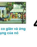 Bài giảng Kinh tế học vi mô: Chương 4 - Lê Đình Thái