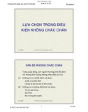 kinh tế học vĩ mô dành cho chính sách công bài giảng LỰA CHỌN TRONG ĐIỀU KIỆN KHÔNG CHẮC CHẮN