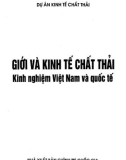 Kinh nghiệm Việt Nam và quốc tế - Giới và kinh tế chất thải: Phần 1