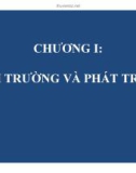 Bài giảng Kinh tế môi trường: Chương 1 - GV. Phạm Hương Giang