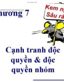 Bài giảng Kinh tế vi mô (ThS. Trần Nguyễn Minh Ái ) - Chương 7: Cạnh tranh độc quyền và độc quyền nhóm