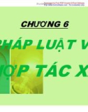 Chương 6: Pháp luật về hợp tác xã