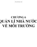 Bài giảng Kinh tế môi trường: Chương 6 - Nguyễn Ngọc Lan